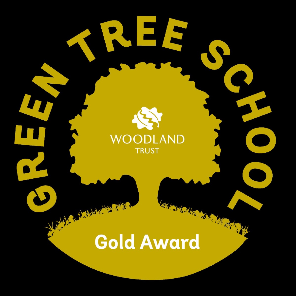 Academy Woodland Trust Award